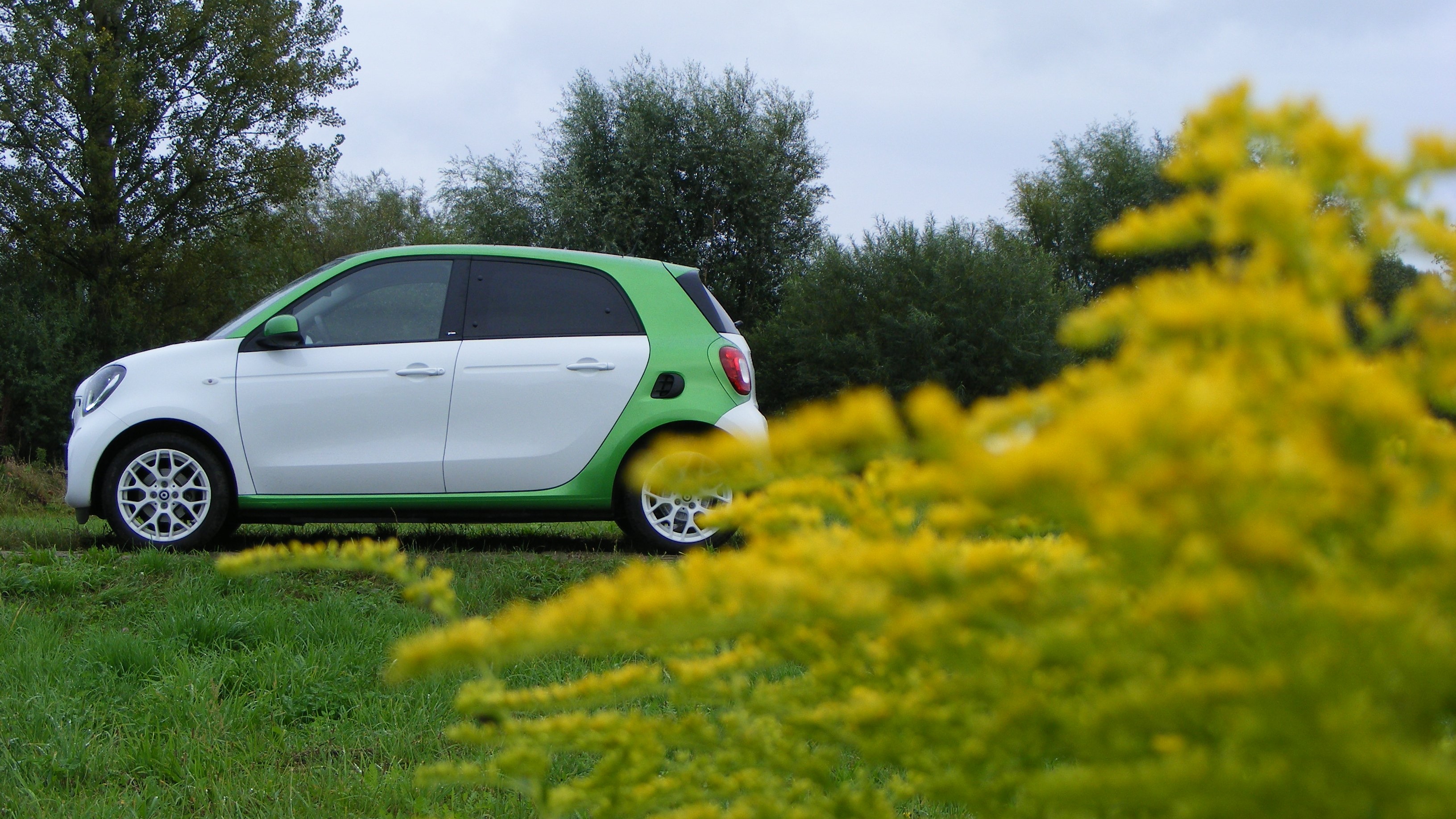 Smart ForFour EQ / fot. Sebastian Tomaszewski