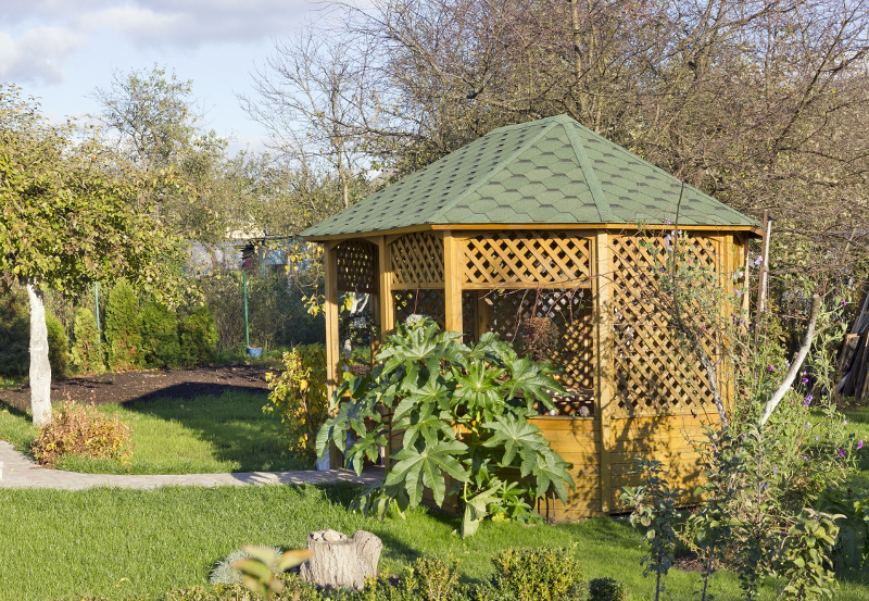 Pergola, ogród. Fot. Fotolia