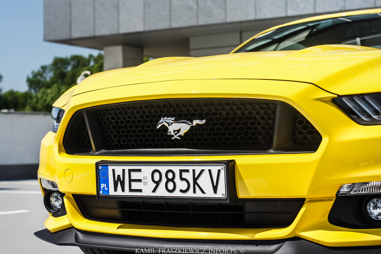 Ford Mustang GT 5.0 V8