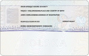 infoRgrafika