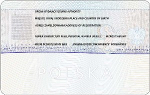 infoRgrafika