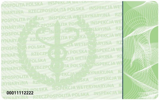 infoRgrafika
