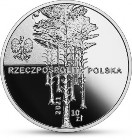 infoRgrafika