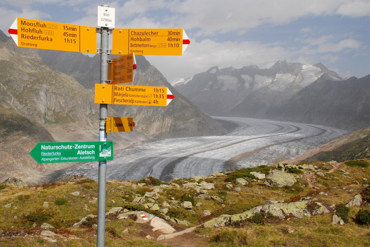 Oznaczenia dróg w Austrii są bardzo dobre a wielu miejscach (np. restauracje, stacje benzynowe) znajdziemy informacje również w języku polskim fot. Mateusz Szymański