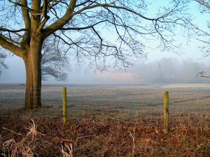 podatek od nieruchomości; ewidencja gruntów