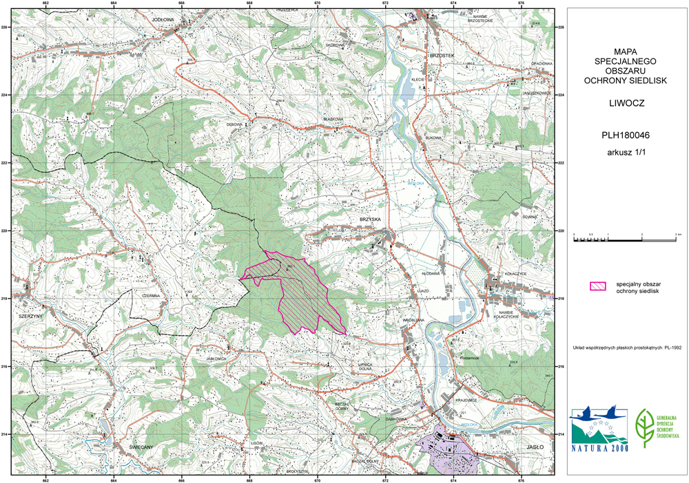 infoRgrafika