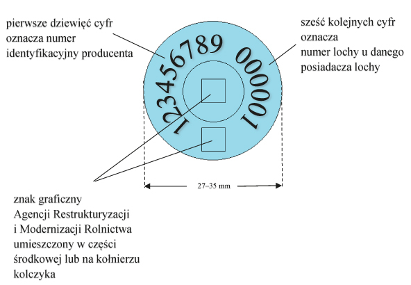 infoRgrafika