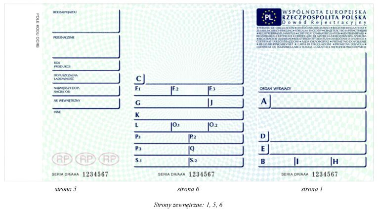 infoRgrafika