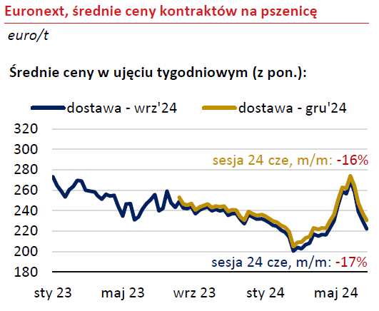 pszenica