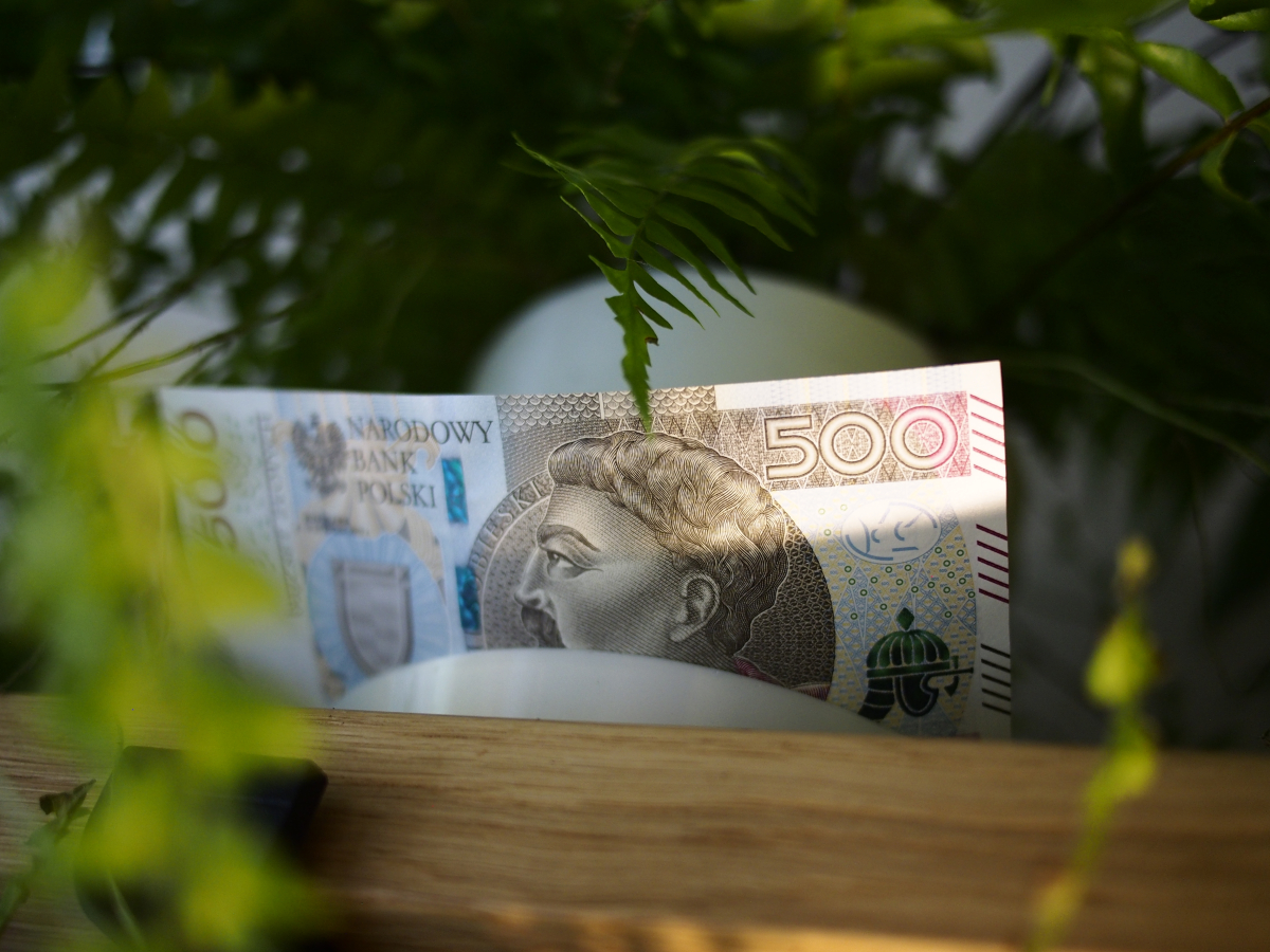 Najważniejsze w zasiedzeniu to 20 albo 30 lat. Ważne żeby sąsiedzi widzieli [Przykłady]
