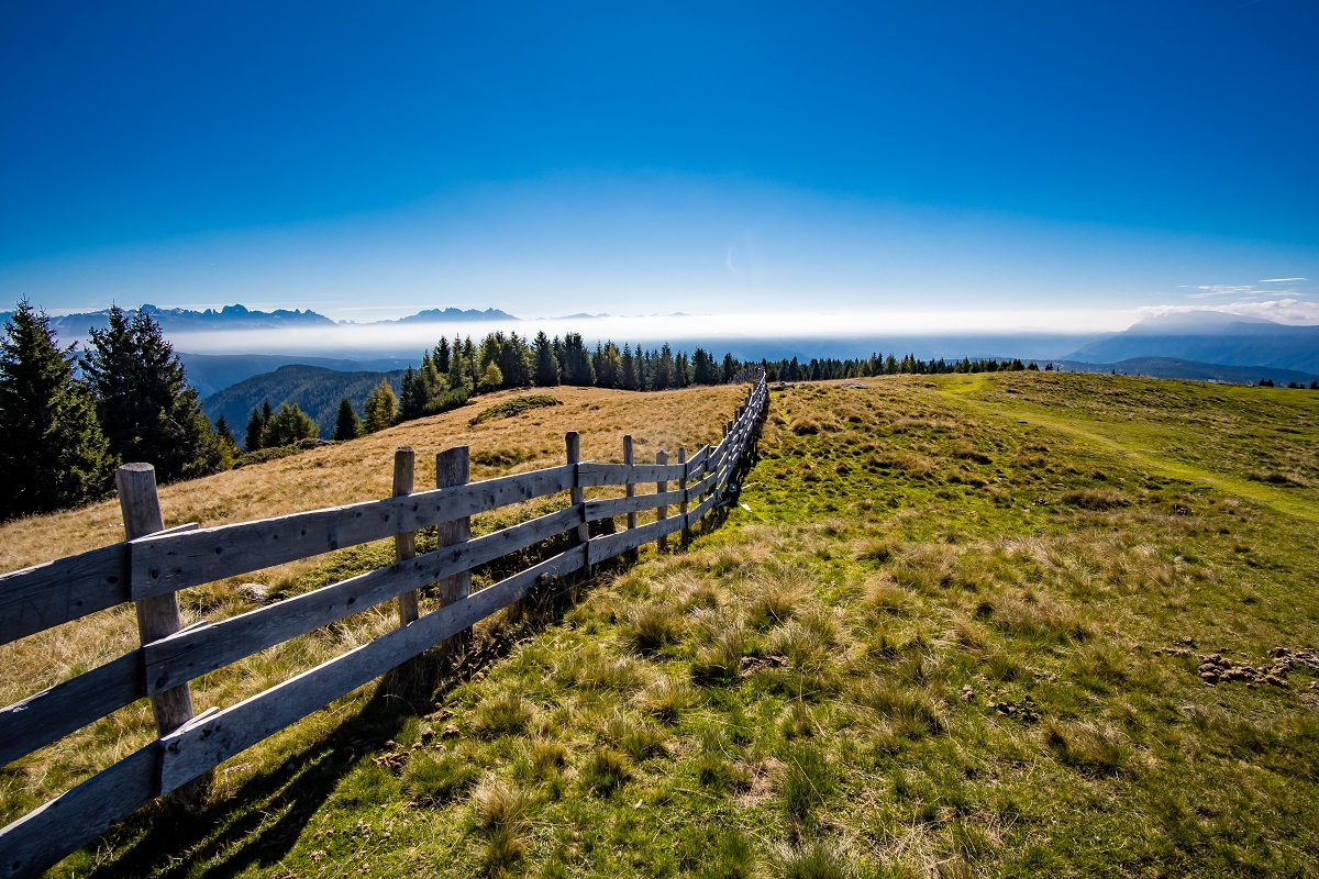 Termin zasiedzenia służebności przesyłu