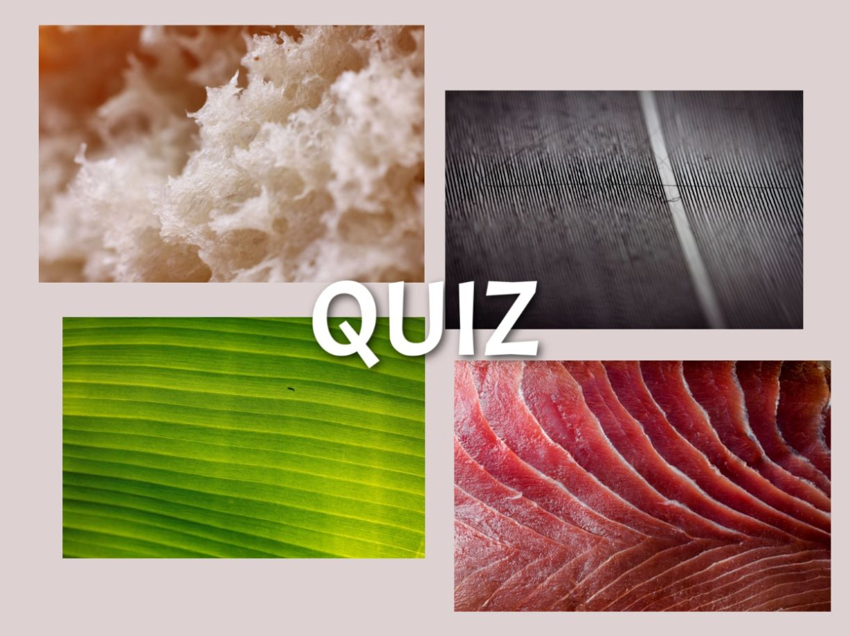 quiz