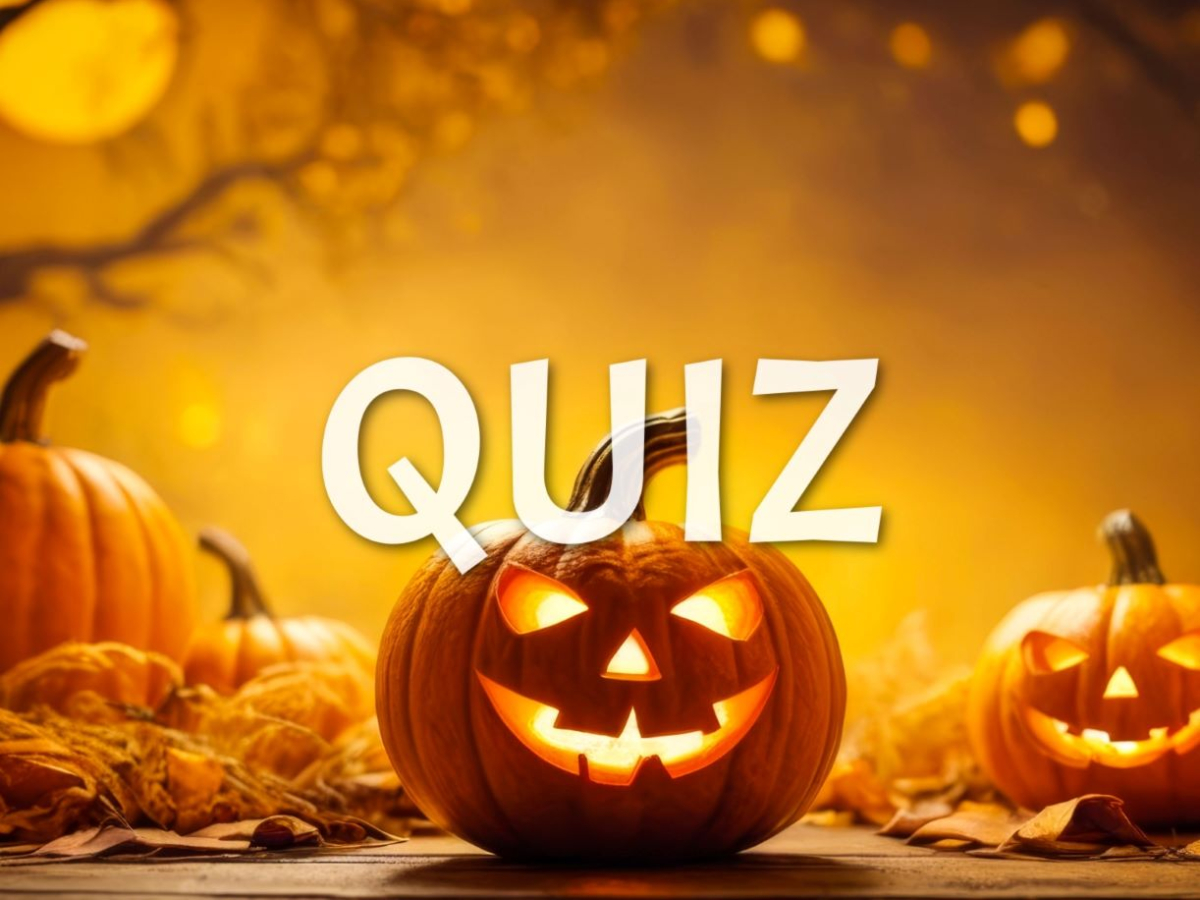 quiz
