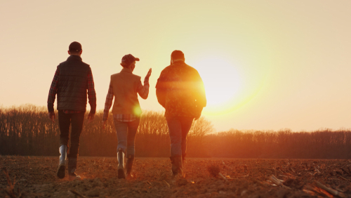 PIE: W ub.r. mogło dojść do wzrostu szarej strefy w rolnictwie