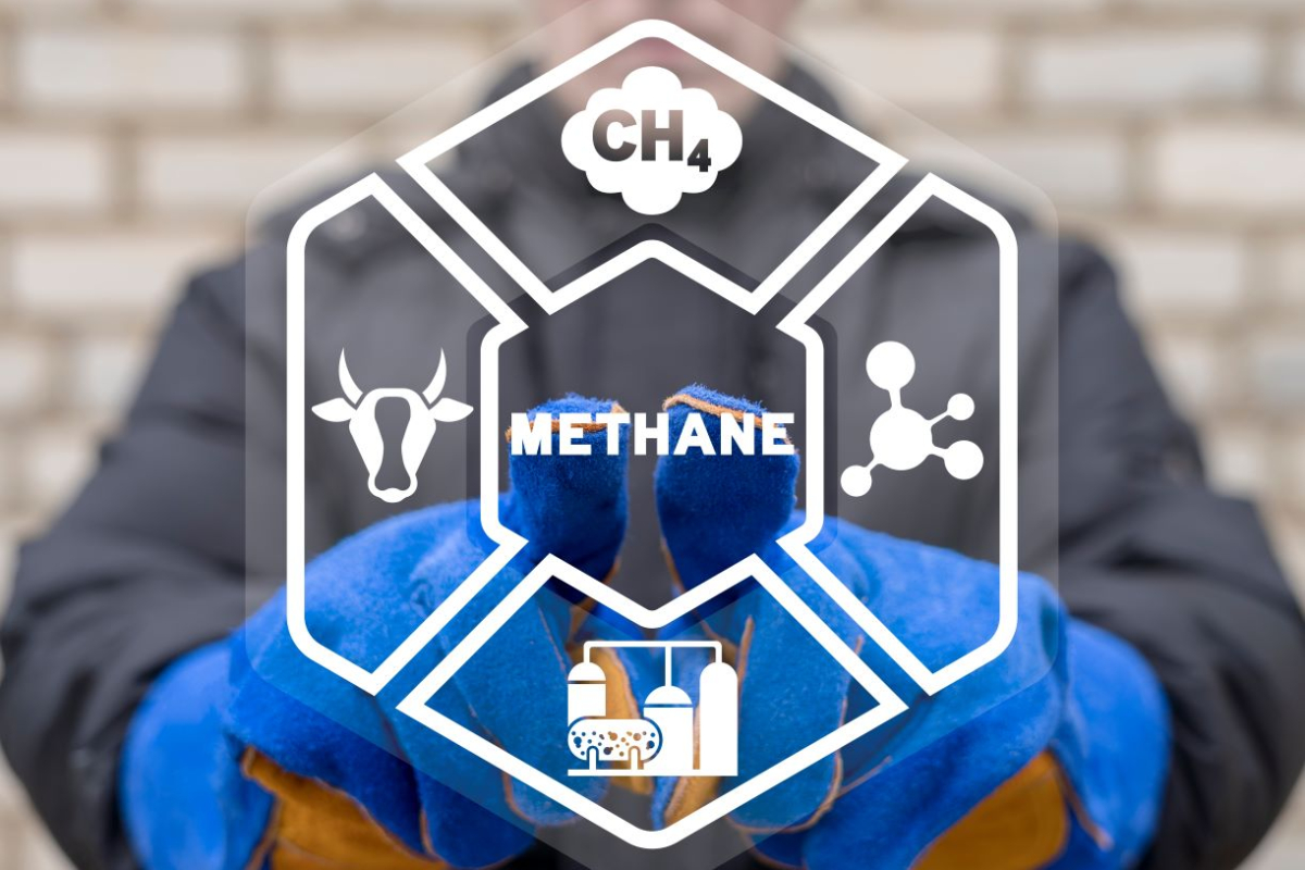 Dyrektywa metanowa