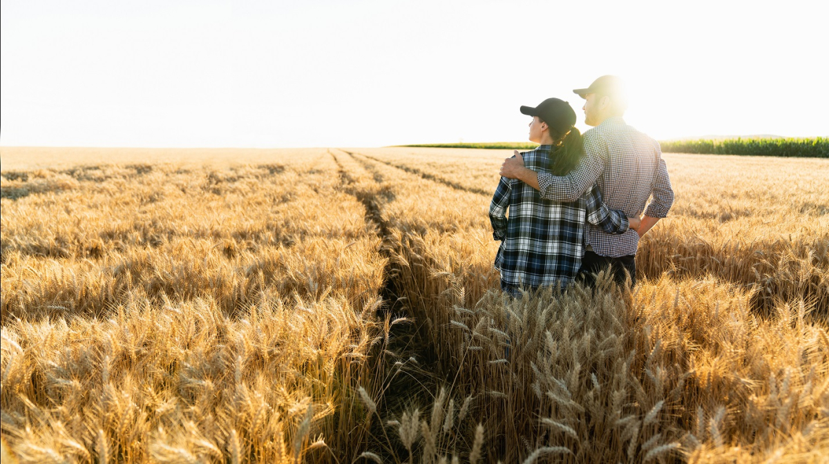 Trwa wypłata dopłat bezpośrednich i w ramach ekoschematów. Rolnicy łącznie otrzymali ponad 11 mld zł