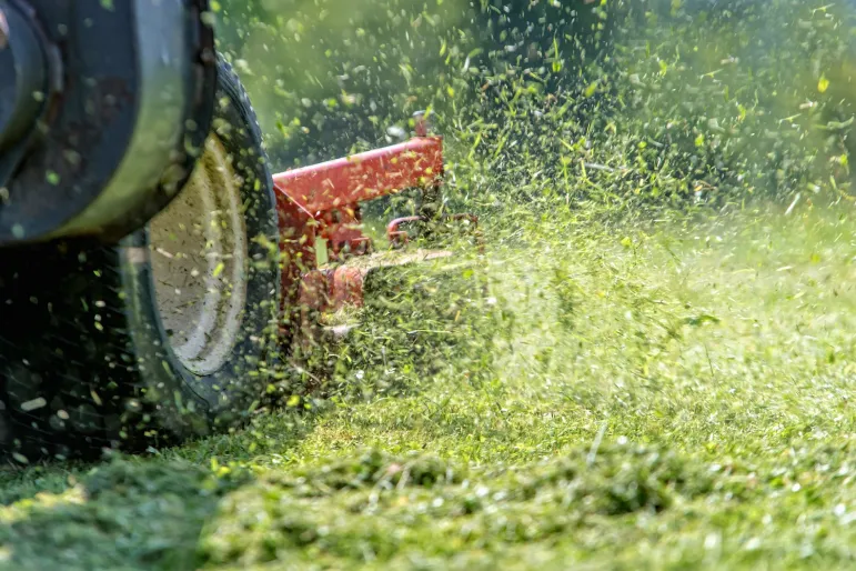 Pracownicy branży pielęgnacji zieleni są szczególnie narażeni na hałas