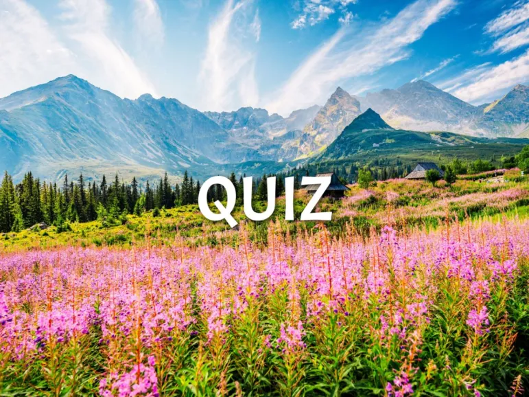 quiz