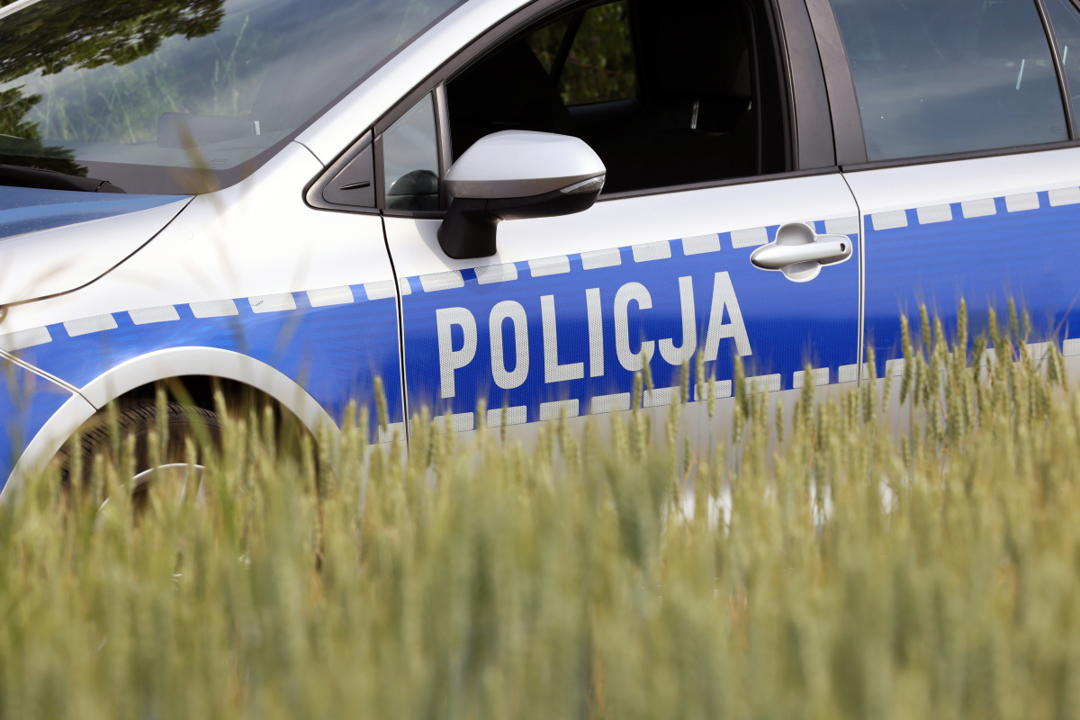 policja
