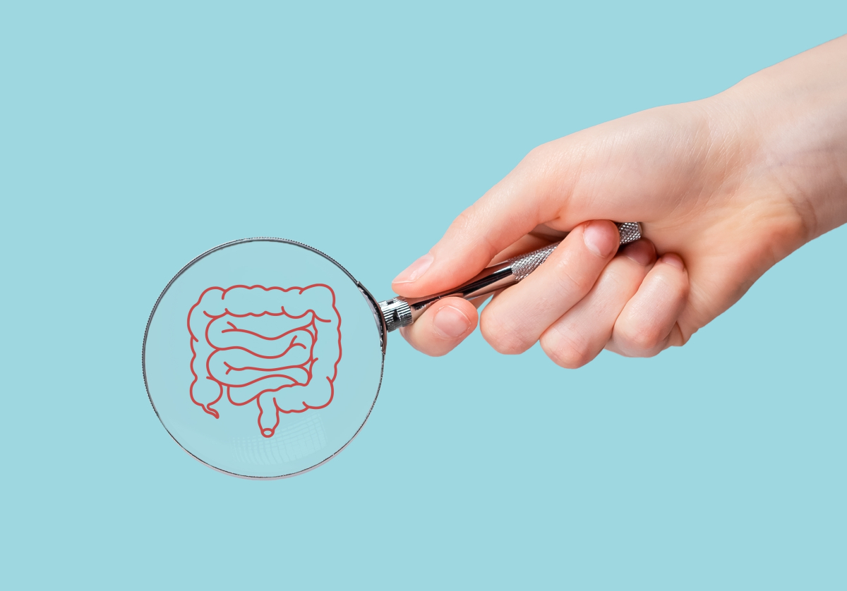 Intestine,,Colon,Health,,Study,Through,Magnifying,Glass.