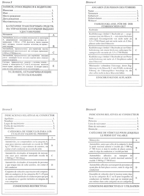 infoRgrafika