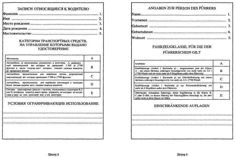 infoRgrafika