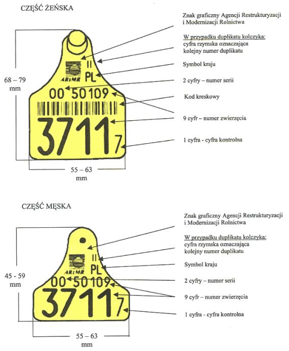 infoRgrafika