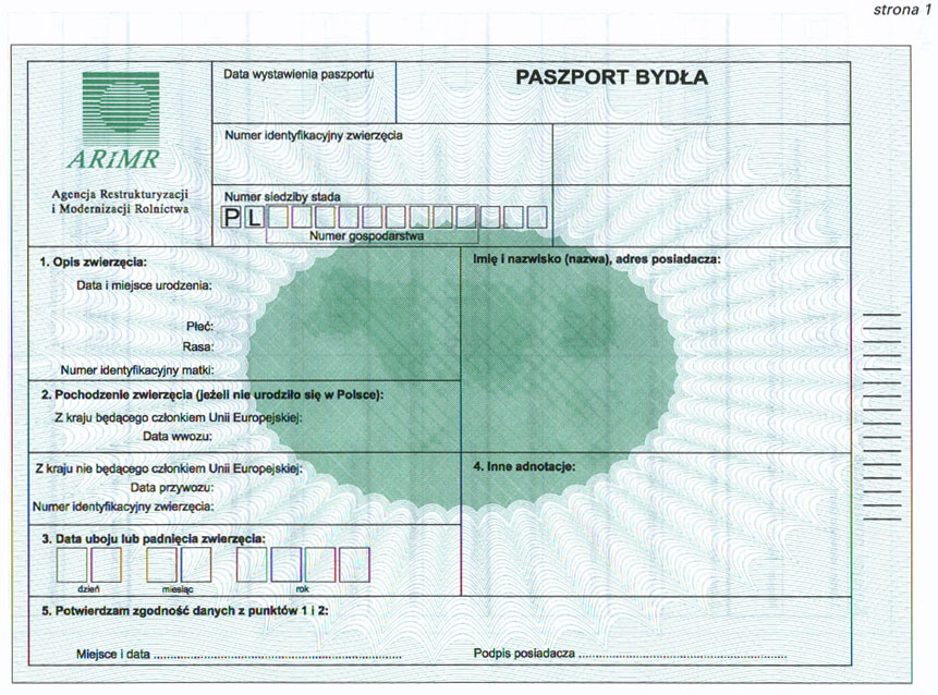 infoRgrafika