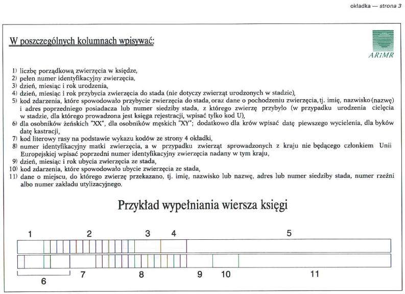 infoRgrafika