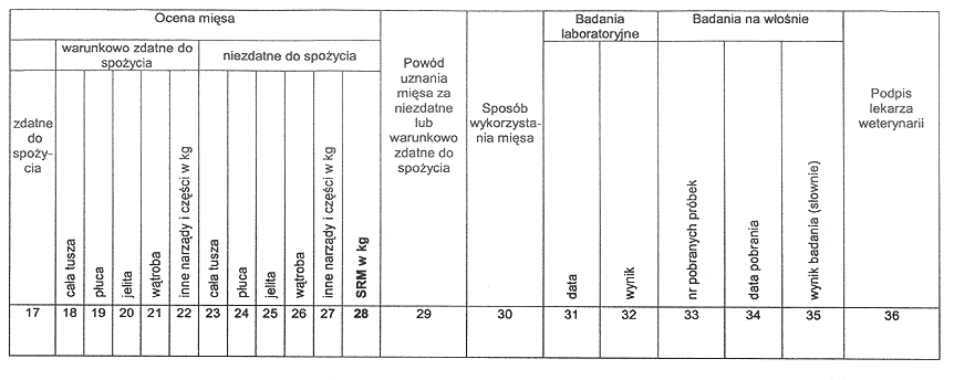 infoRgrafika