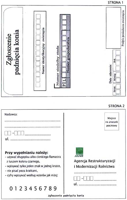 infoRgrafika