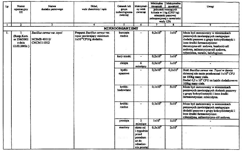 infoRgrafika