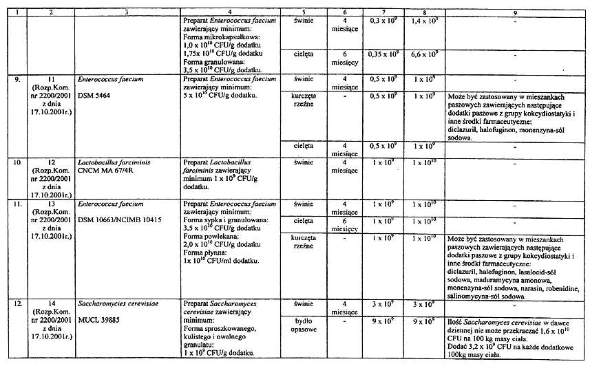 infoRgrafika