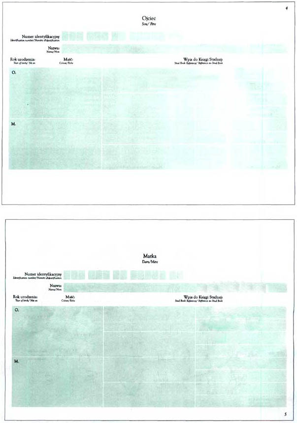 infoRgrafika