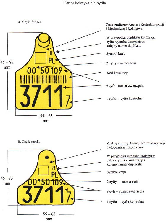 infoRgrafika