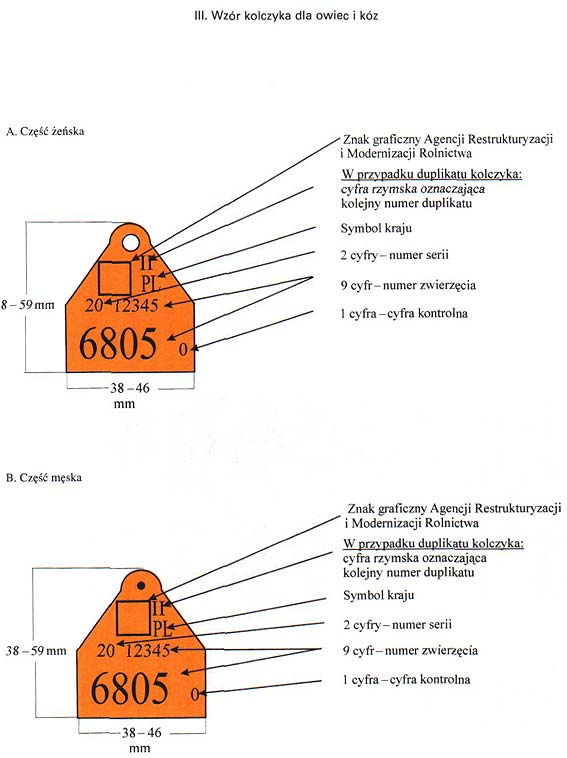 infoRgrafika