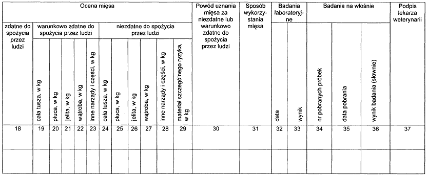 infoRgrafika