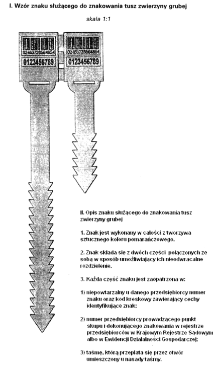 infoRgrafika