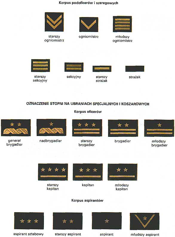 infoRgrafika