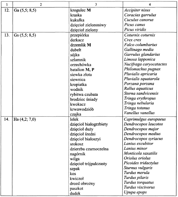 infoRgrafika