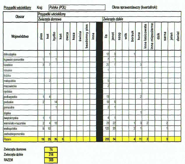 infoRgrafika