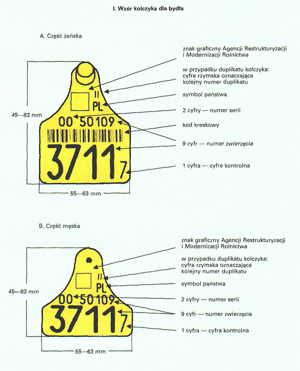 infoRgrafika