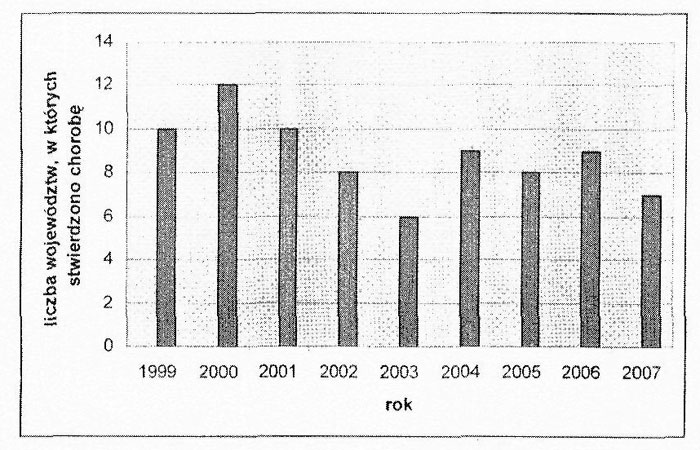 infoRgrafika