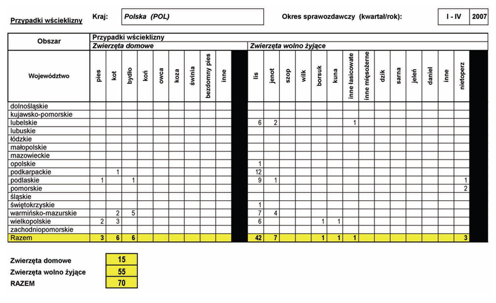 infoRgrafika