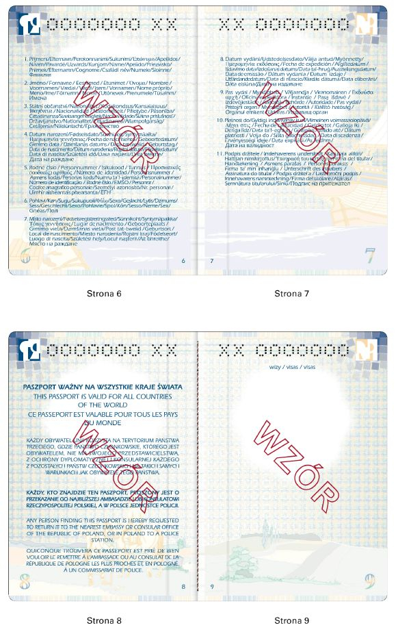 infoRgrafika