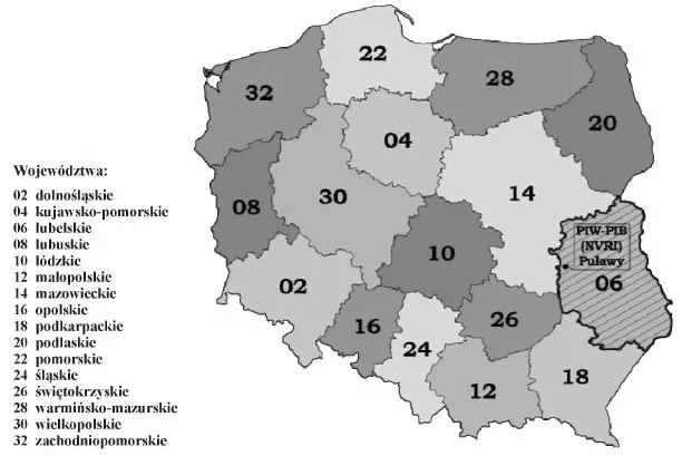 infoRgrafika