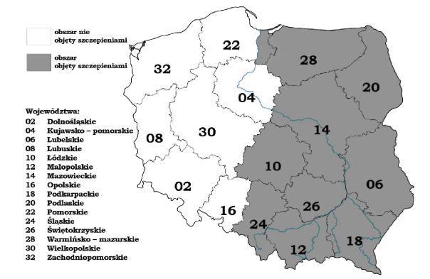 infoRgrafika