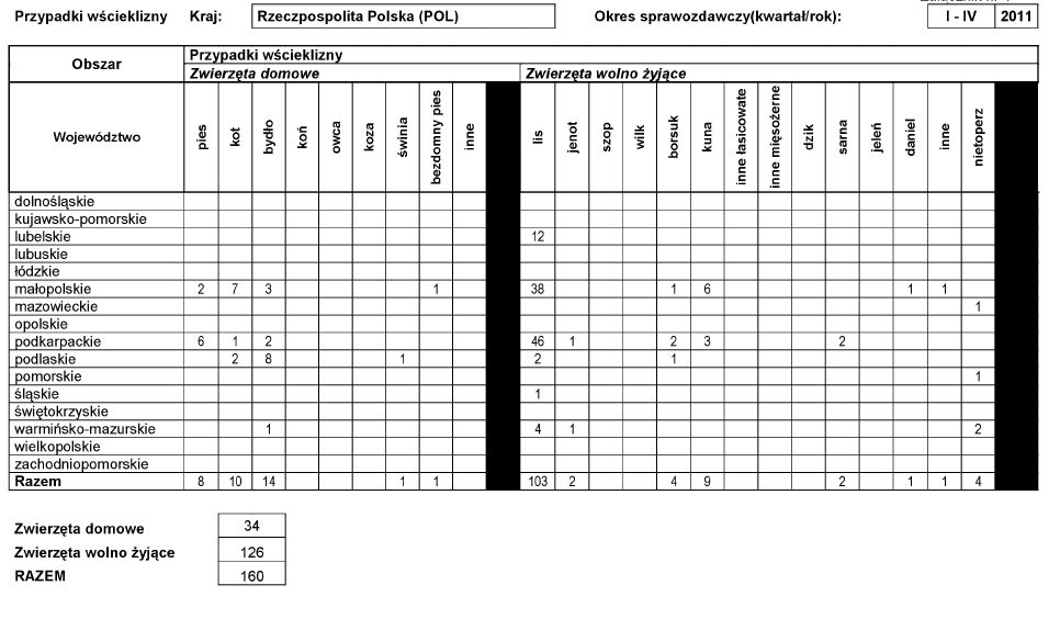 infoRgrafika