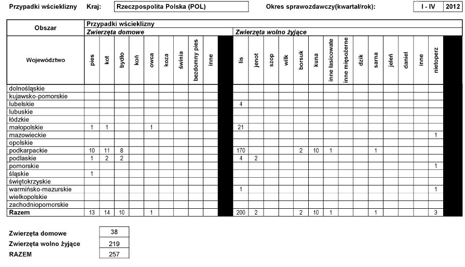 infoRgrafika