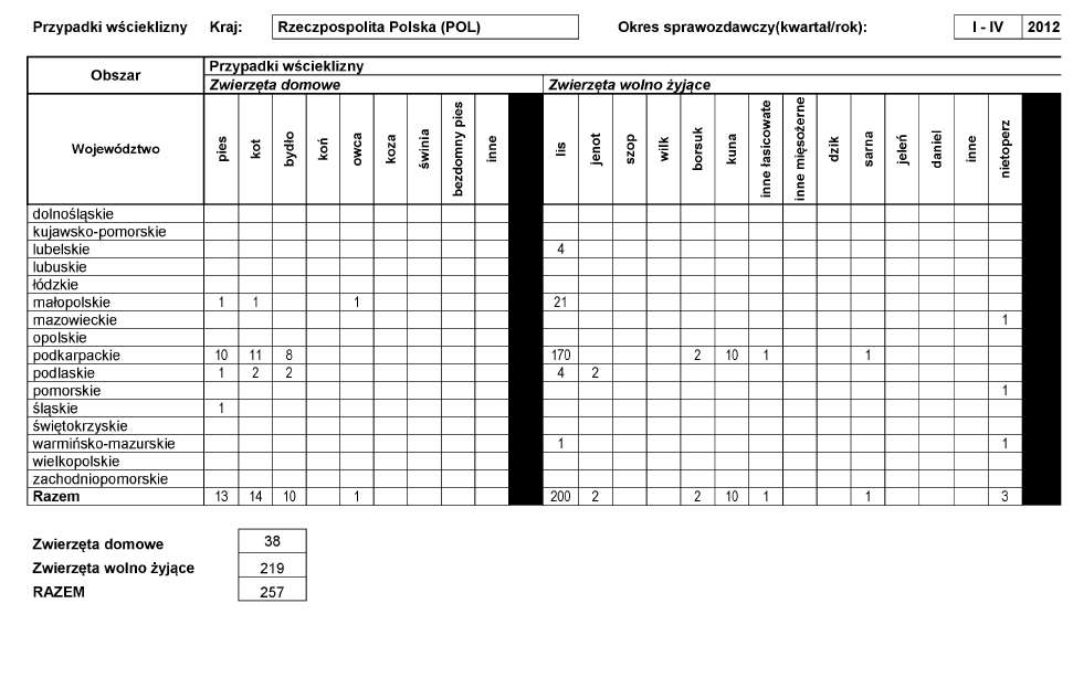 infoRgrafika